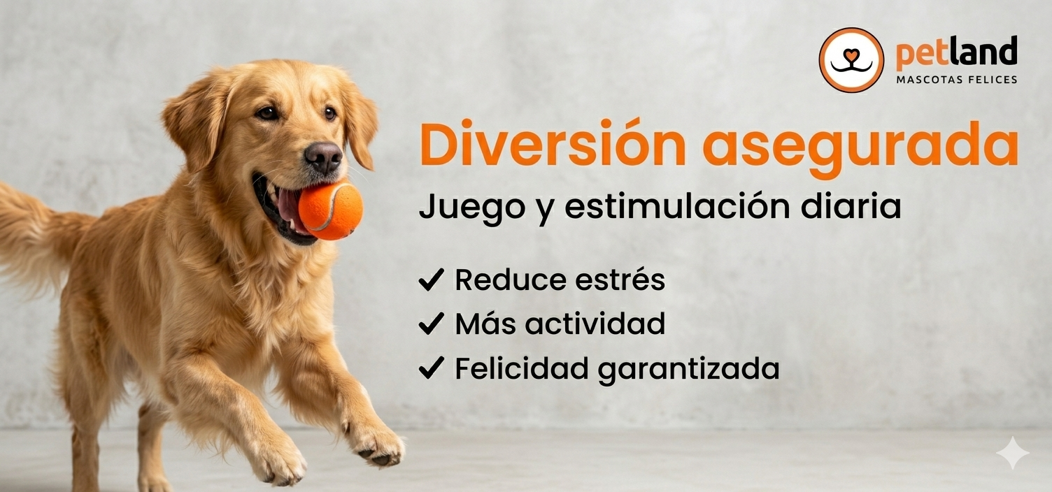 Diversion asegurada - Pet Land