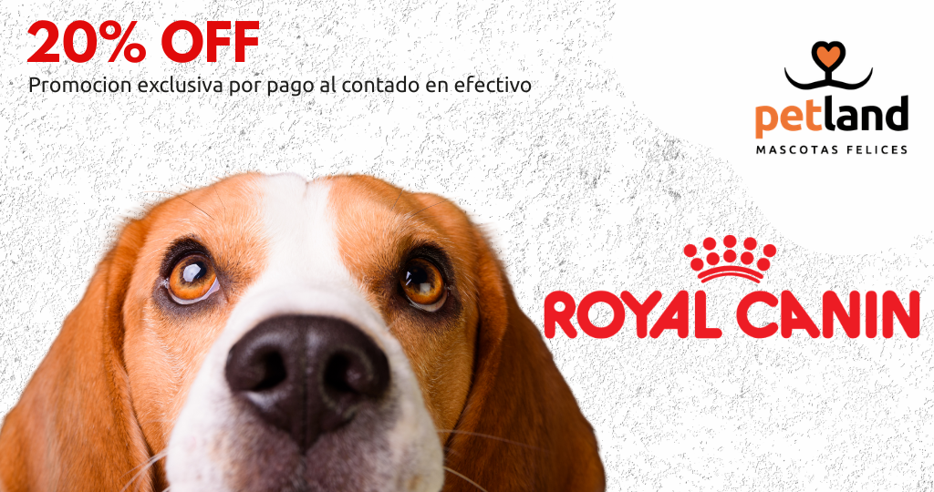 Royal Canin 20% OFF